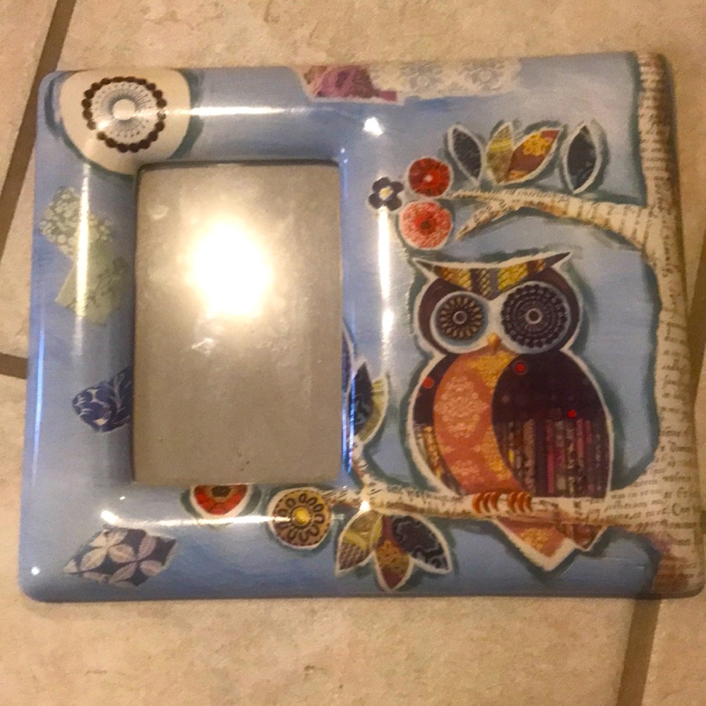 Cute Owl Frame